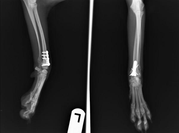 post-24-0-57392400-1452675460_thumb.jpg
