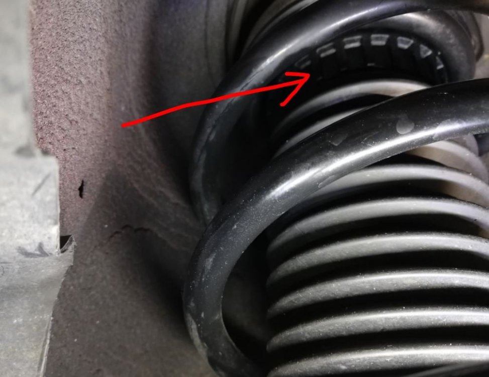 Zajeta slika 12 4.JPG