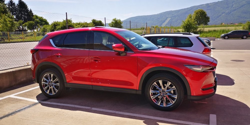 IMG_20200508_104009 (1).jpg