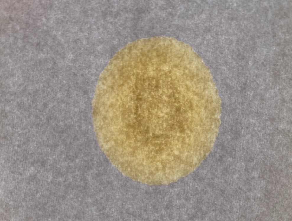 Screenshot 2021-01-10 at 14.43.33.png