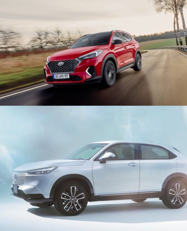 ZomboDroid 20022021222636.jpg