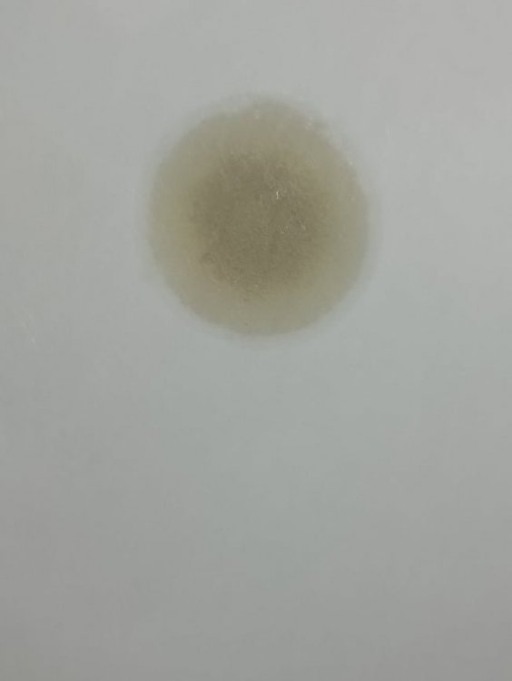 219604928_1028756137928826_8243357499479790591_n.jpg