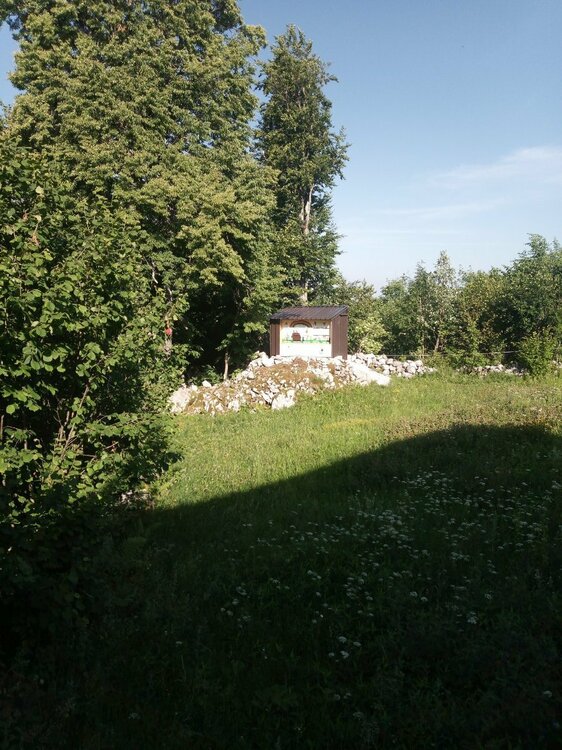 čebelnjak 1.jpg