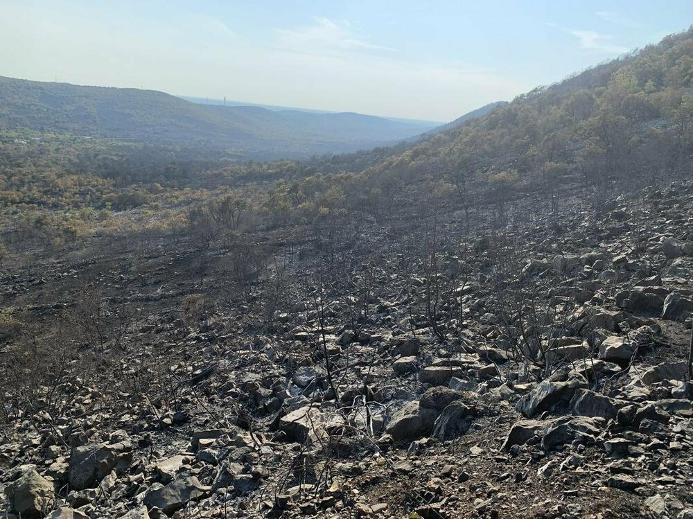 JPG 20220728104546.jpg