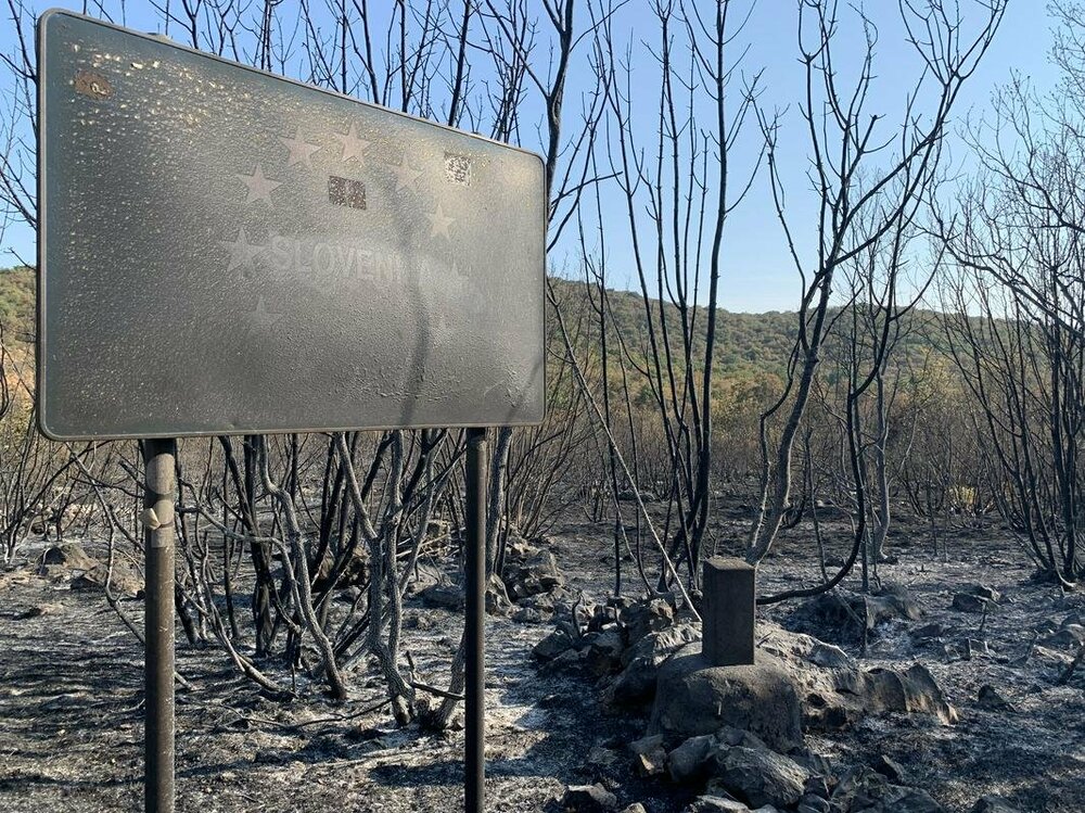 JPG 20220728104647.jpg