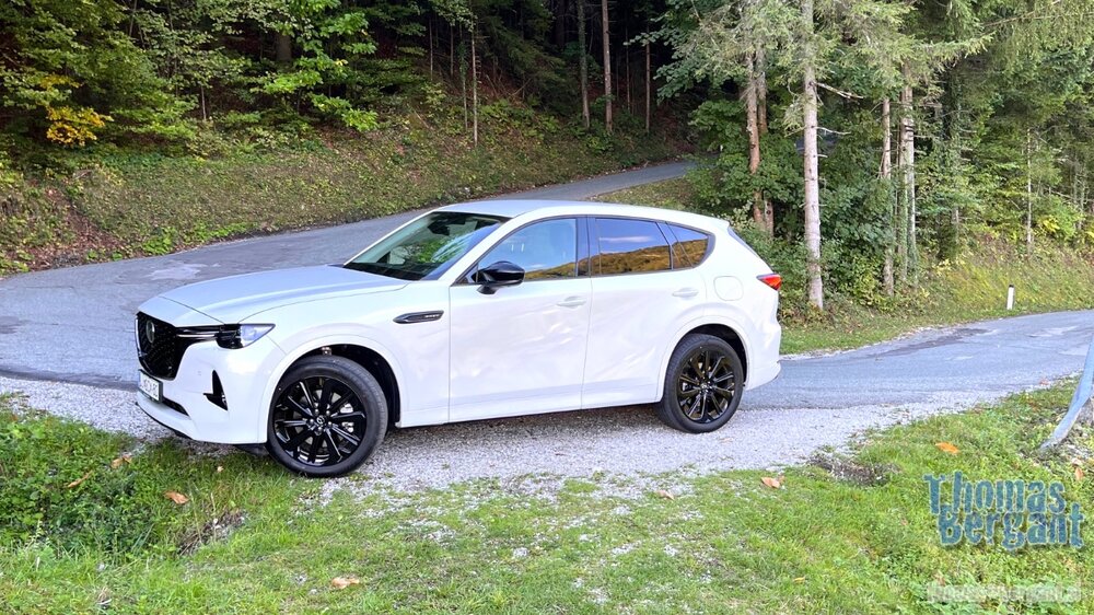 2022.09.21 08.28.14.jpg