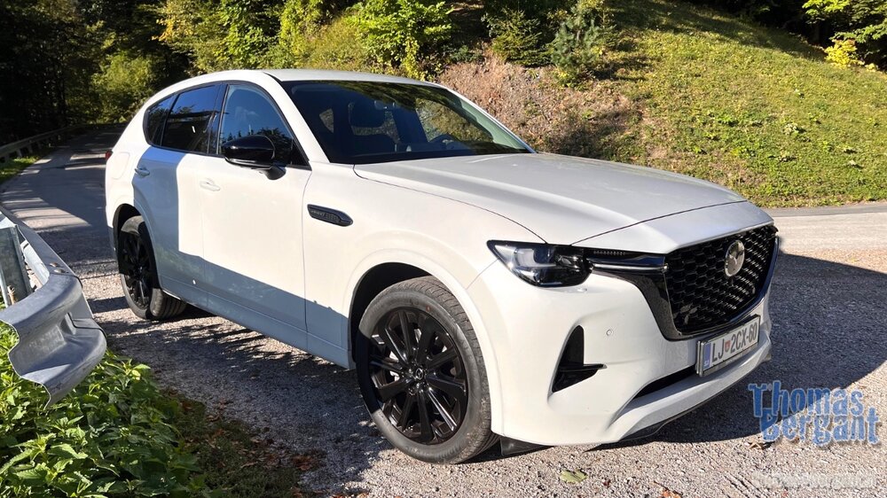 2022.09.21 08.41.40.jpg