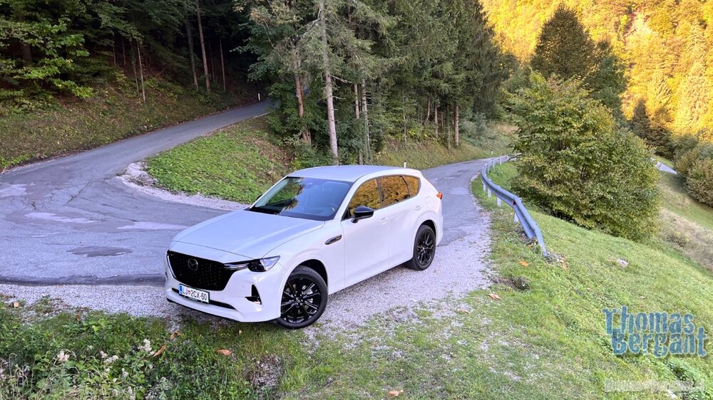 2022.09.21 08.28.25.jpg