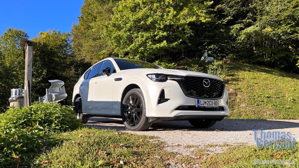 2022.09.21 08.42.07.jpg