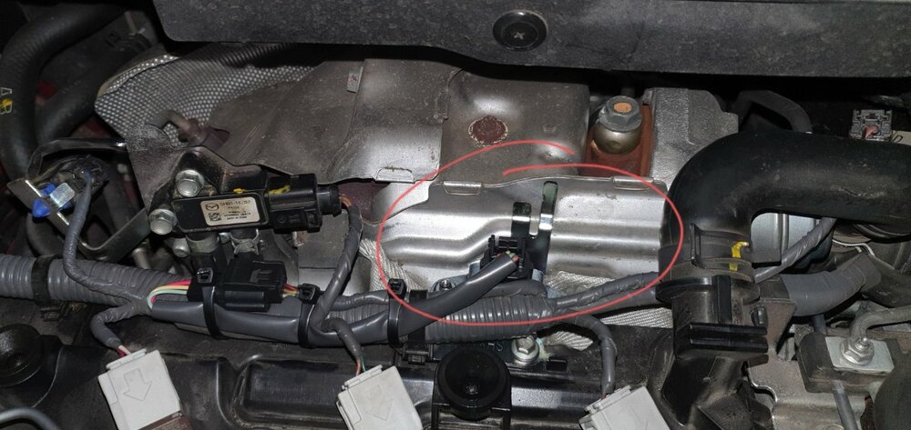 20200610-215517 (1).jpg