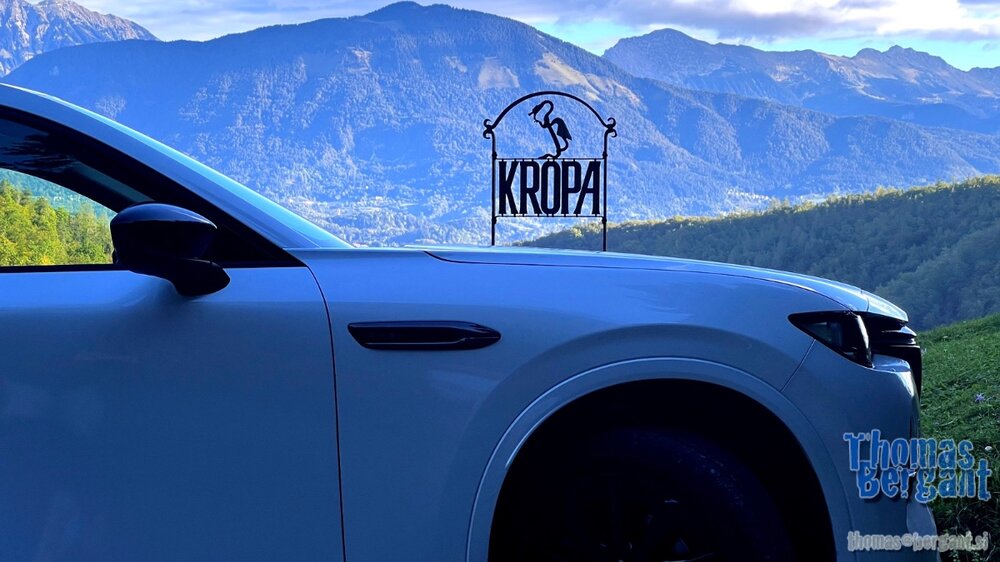 2022.09.21 08.29.08.jpg