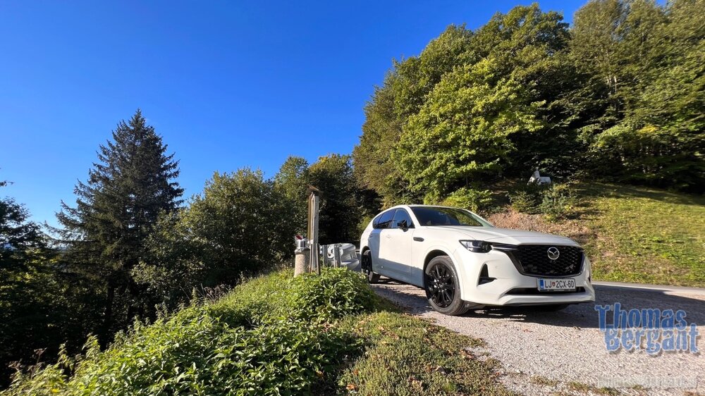 2022.09.21 08.42.02.jpg