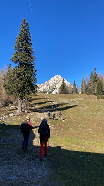 DE877A11-5229-44A1-8825-BCDD1162127D (1).jpeg