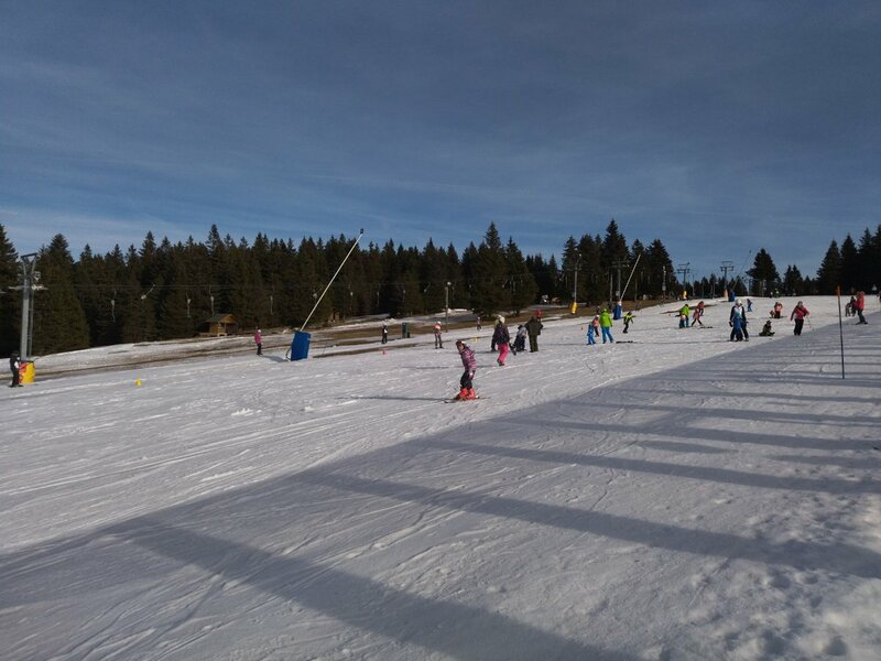 IMG_20230107_130156.jpg