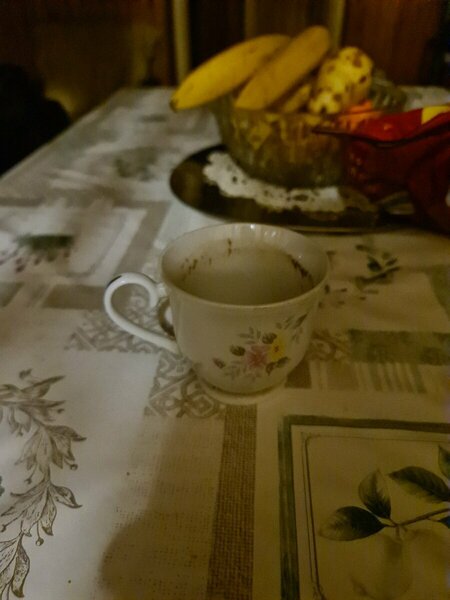 20230406_054614.jpg