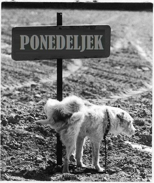 Ponedeljek.jpg