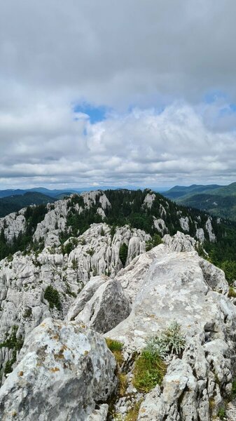 20230624_133022.jpg