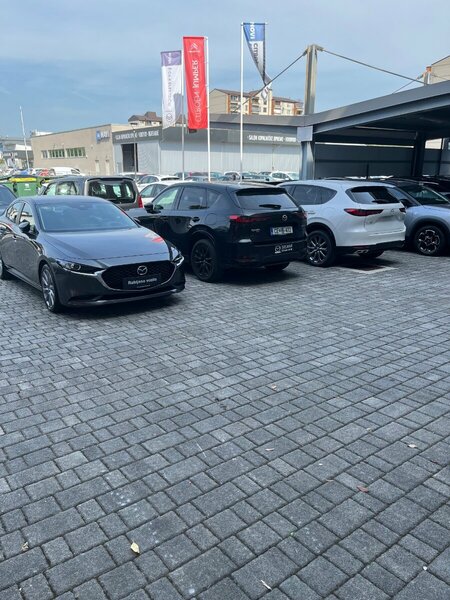 IMG_3178.jpeg