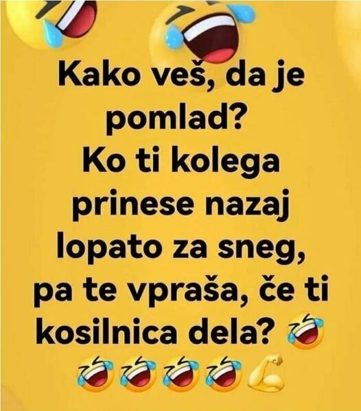 Zajeta slika.JPG