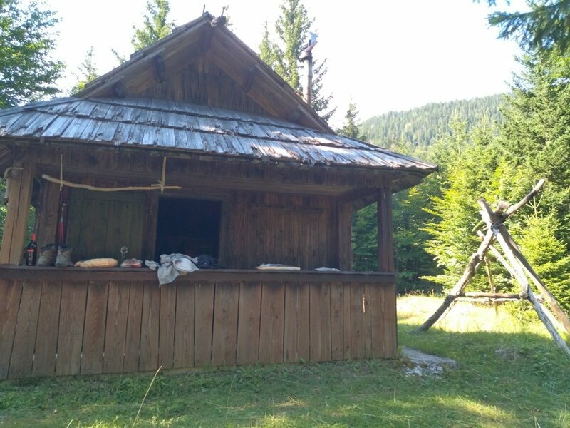 IMG_20240810_161252.jpg