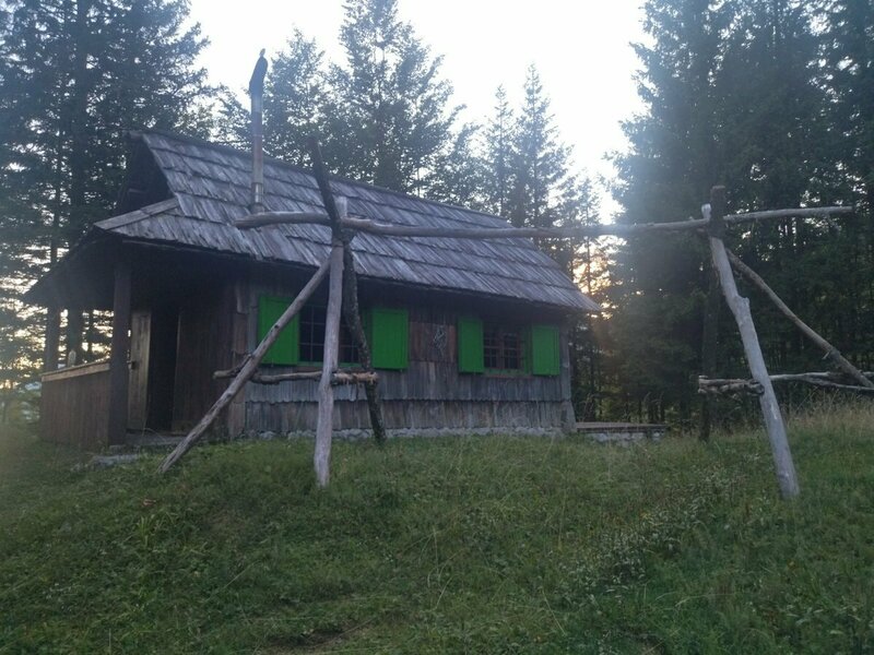 IMG_20240810_194443.jpg