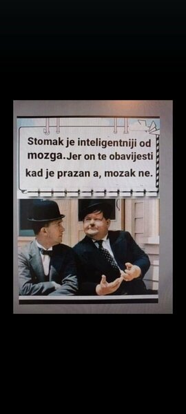IMG_3962.jpeg
