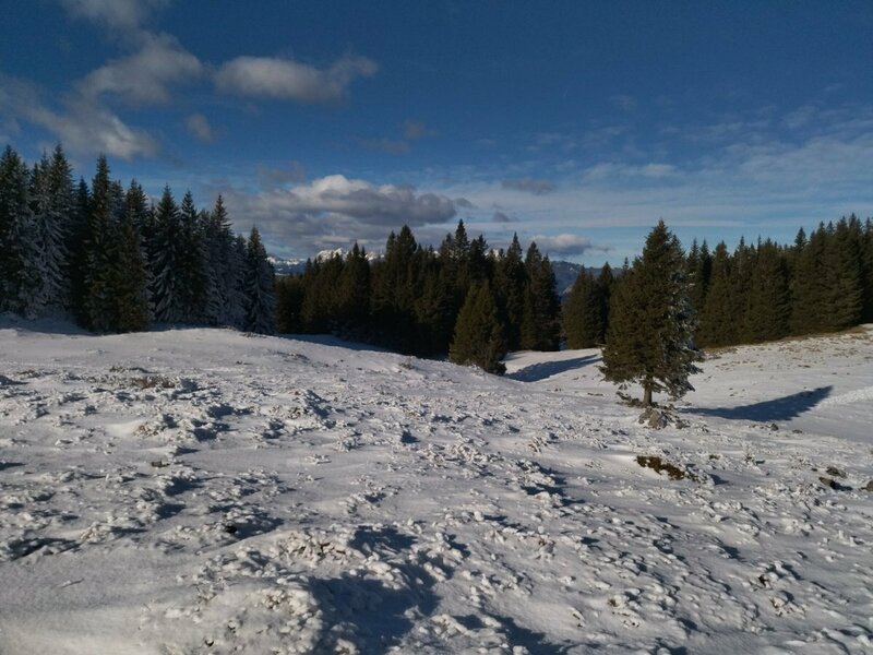 IMG_20241215_111824.jpg