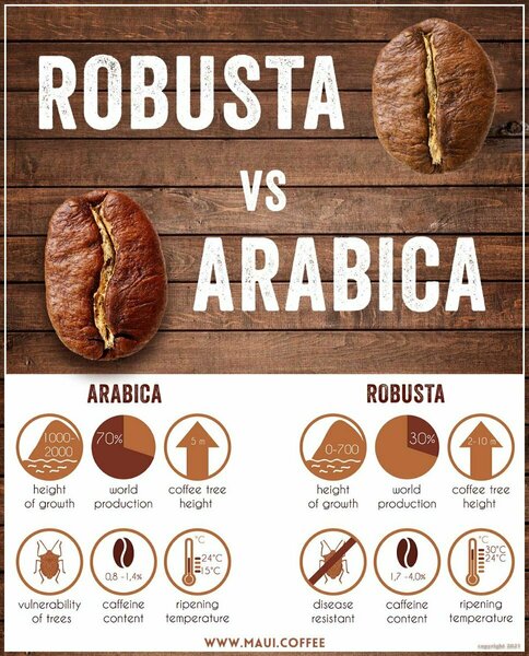 robusta-vs-arabica-coffee_2048x2048.jpg