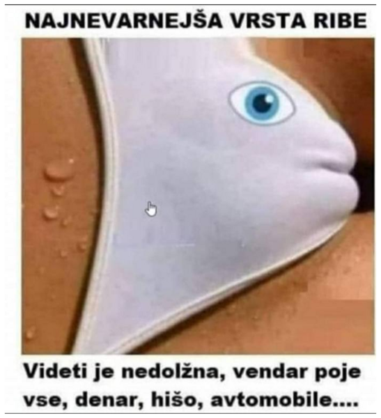 Zajeta slika.PNG