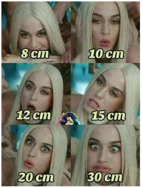 Zajeta slika.PNG