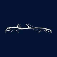 g.Wankel