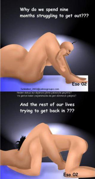 post-337-1199112415_thumb.jpg